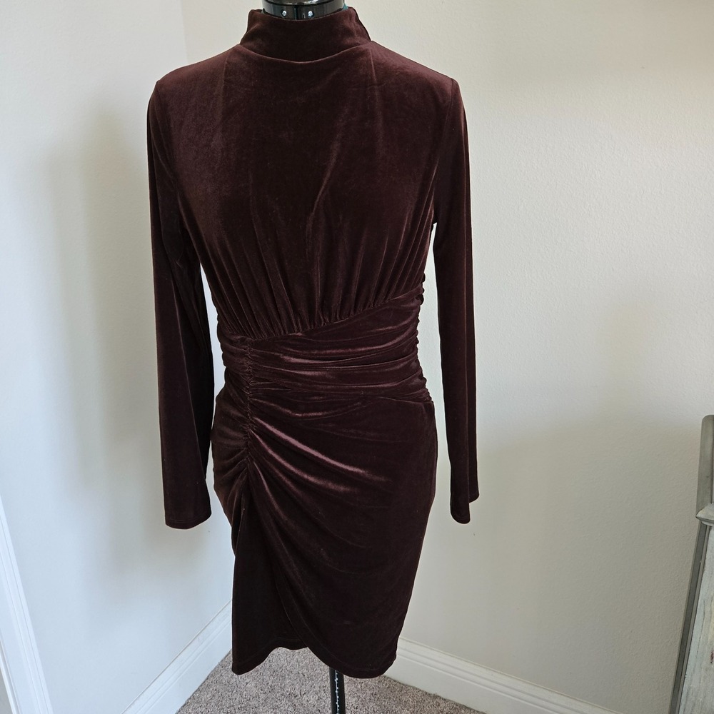 Express Womens Velvet Dress Ruched Waist Brown Long Sleeves Mock Neck Sz Medium